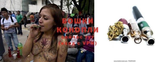 прущая мука Вяземский