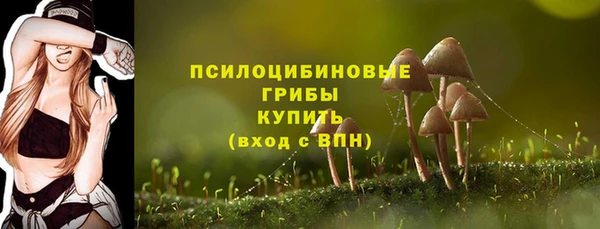 дживик Вязники