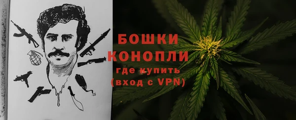 прущая мука Вяземский