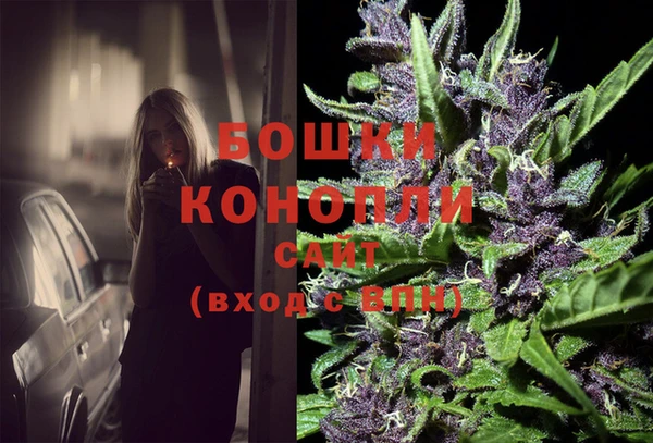 прущая мука Вяземский