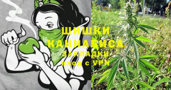 прущая мука Вяземский